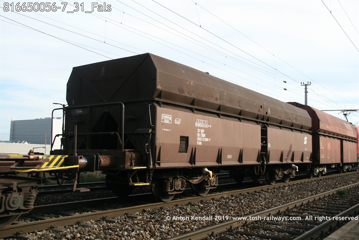 816650056-7_31_Fals.jpg
